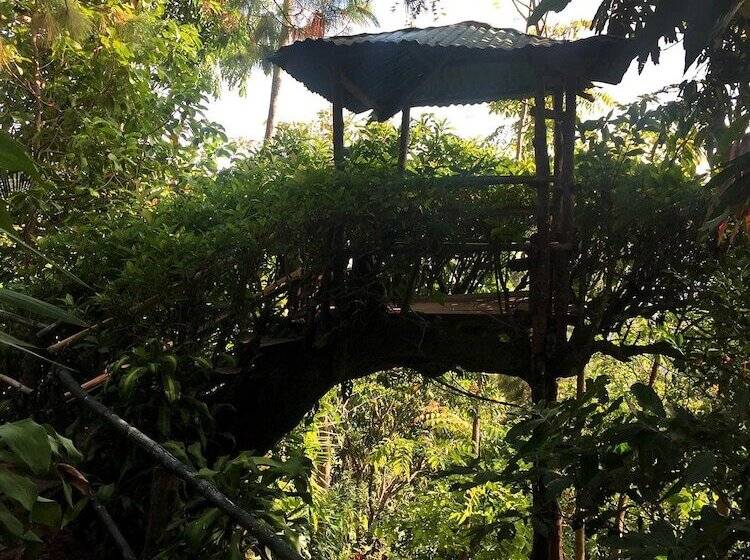 Majatalo Lo Nuestro Ataco