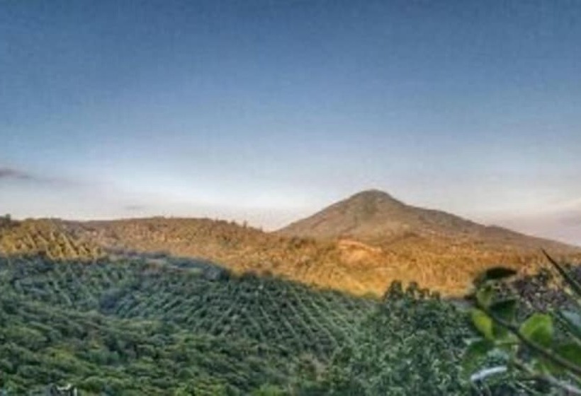 Majatalo Lo Nuestro Ataco