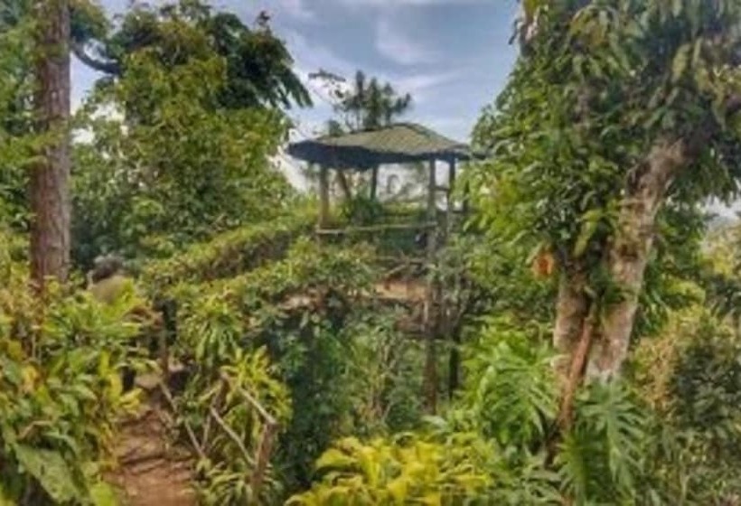 Majatalo Lo Nuestro Ataco