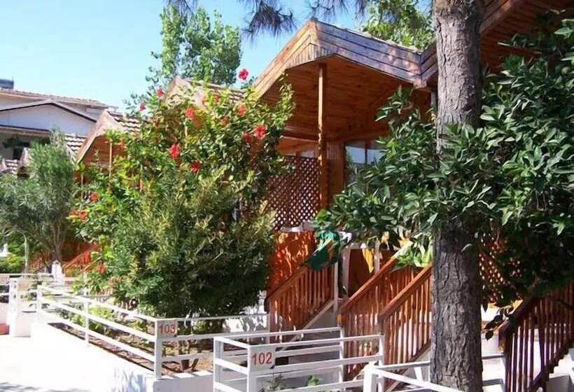 Baba Motel