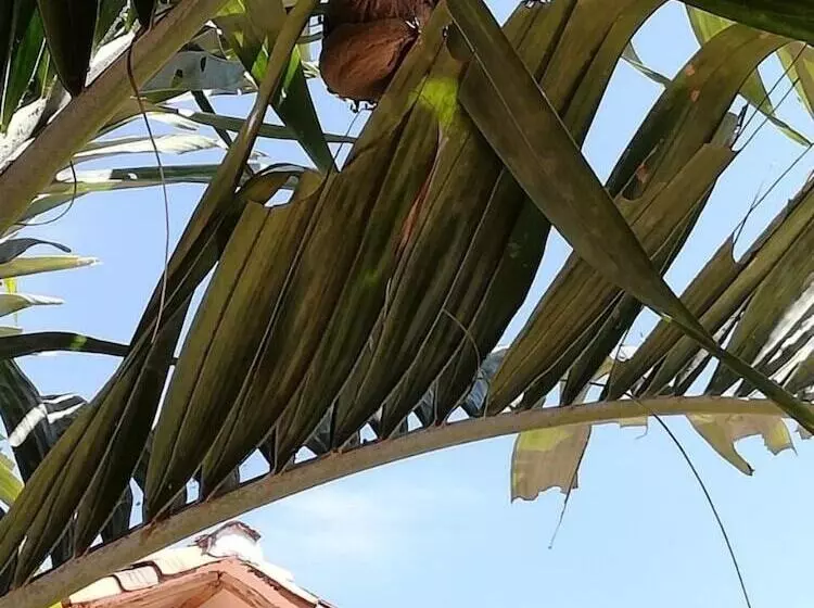 Aamiaismajoitus (B&B) Casa Juana