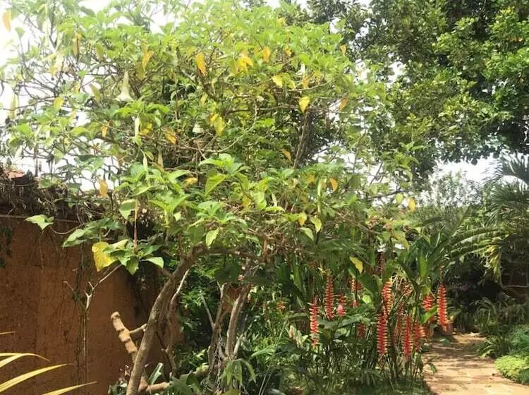 Aamiaismajoitus (B&B) Casa Juana