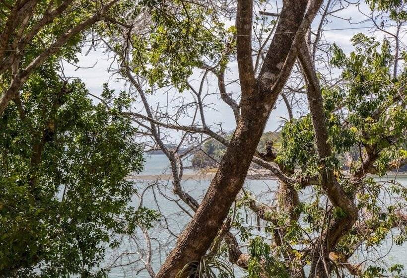 בית מלון כפרי Boca Brava