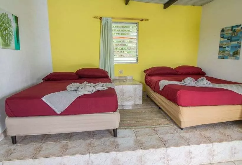 ホテル Boca Brava