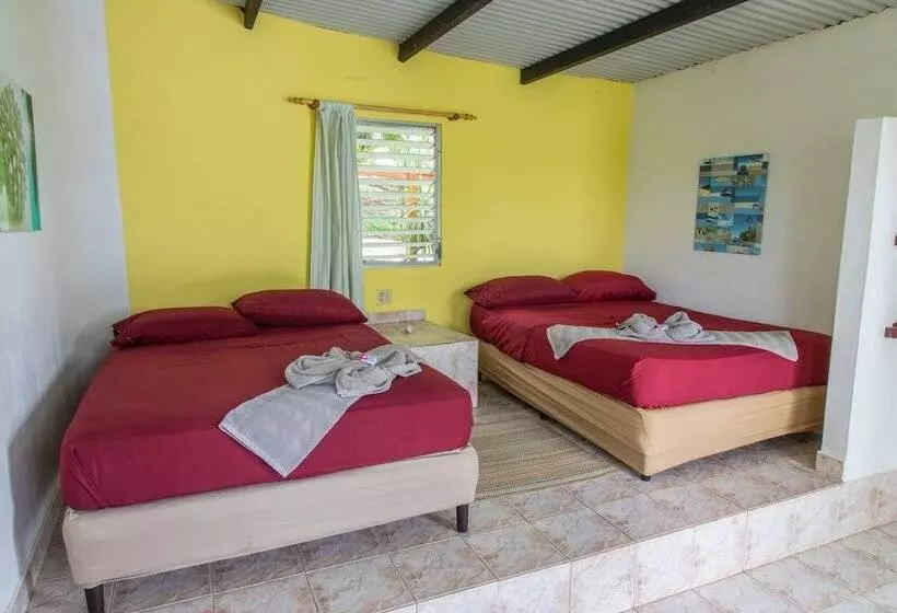 ホテル Boca Brava