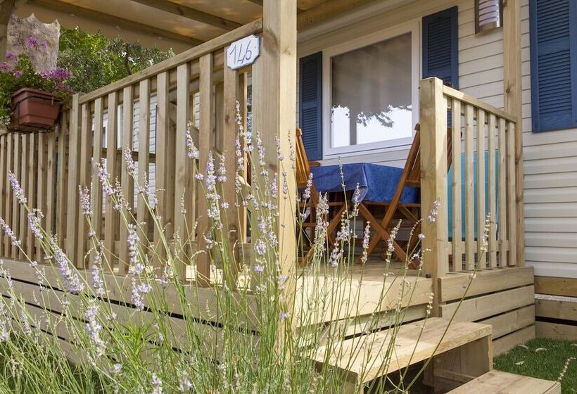 בית מלון כפרי Camping Delfino