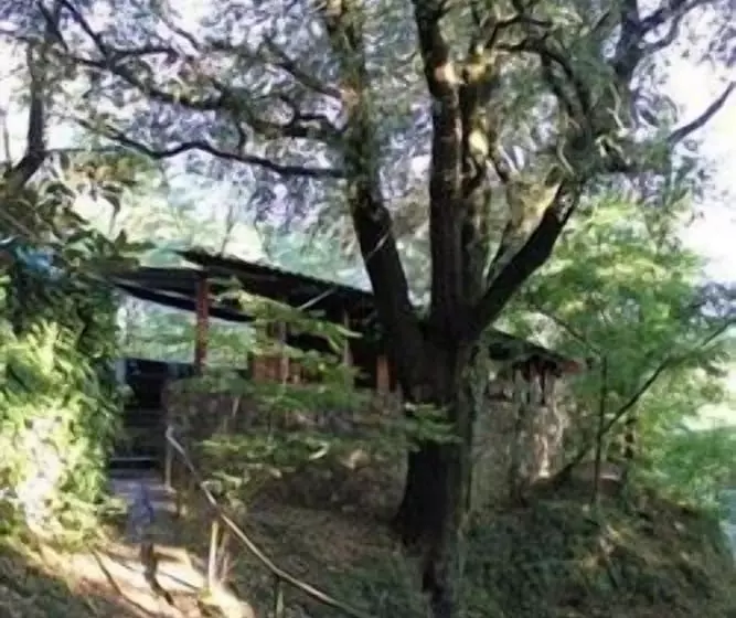 Hotelli Camping Mas Patxet