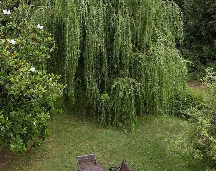 ホテル Casa Manoli