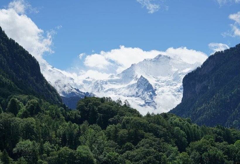 酒店 Edelweiss Lodge