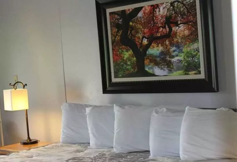 ホテル Kentucky Lake Resort & Rv Park