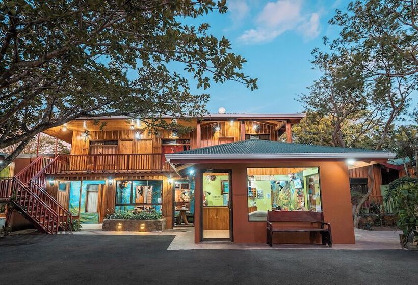 فندق Monteverde Villa Lodge