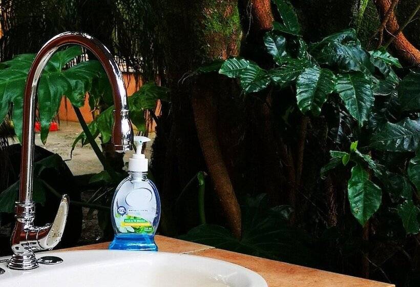 فندق Monteverde Villa Lodge