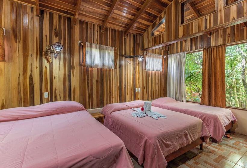 فندق Monteverde Villa Lodge