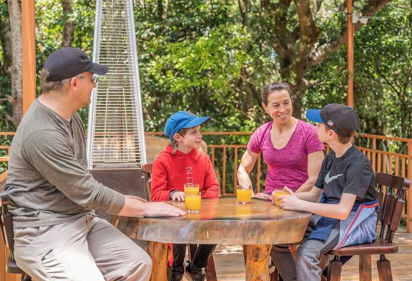 فندق Monteverde Villa Lodge