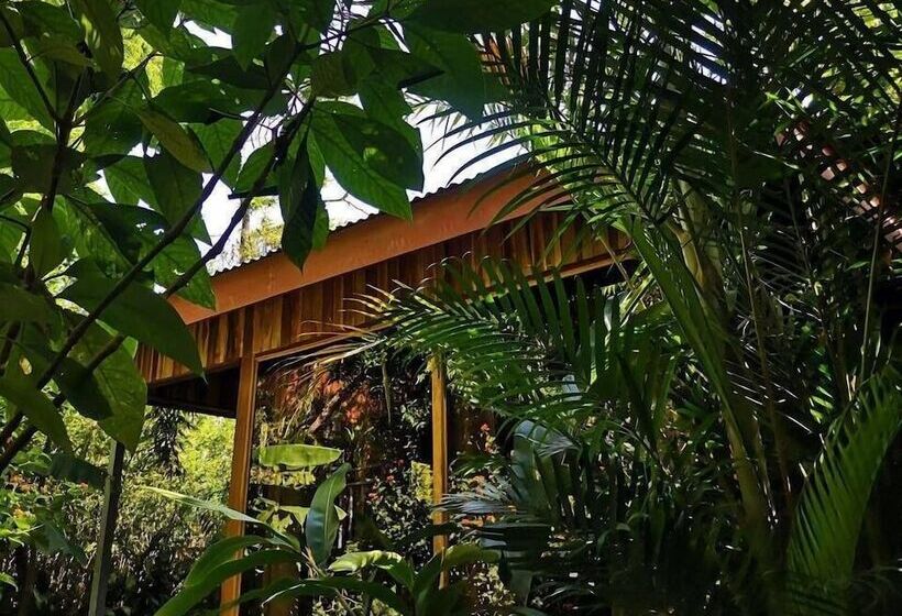 فندق Monteverde Villa Lodge