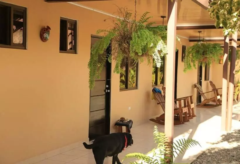 ホテル Roxy Fishing Club Y