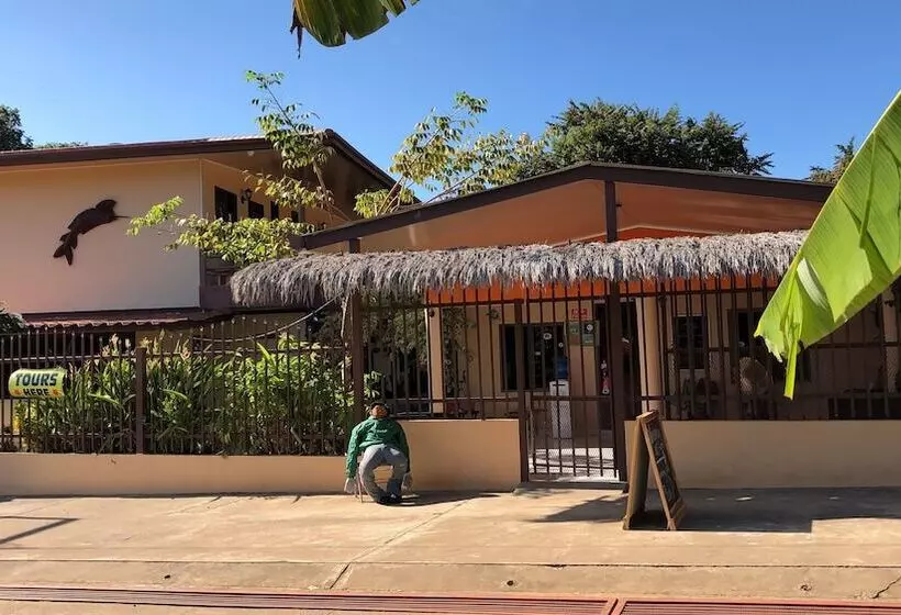 ホテル Roxy Fishing Club Y