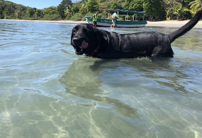 호텔 Roxy Fishing Club Y