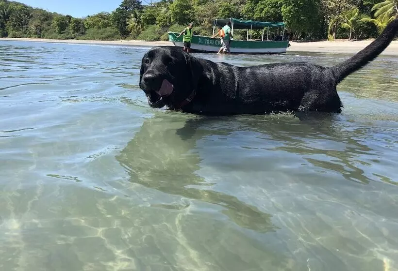 ホテル Roxy Fishing Club Y