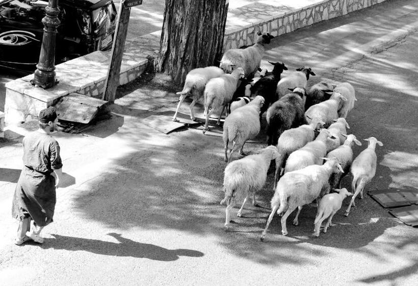 هتل Zefiros Traditional