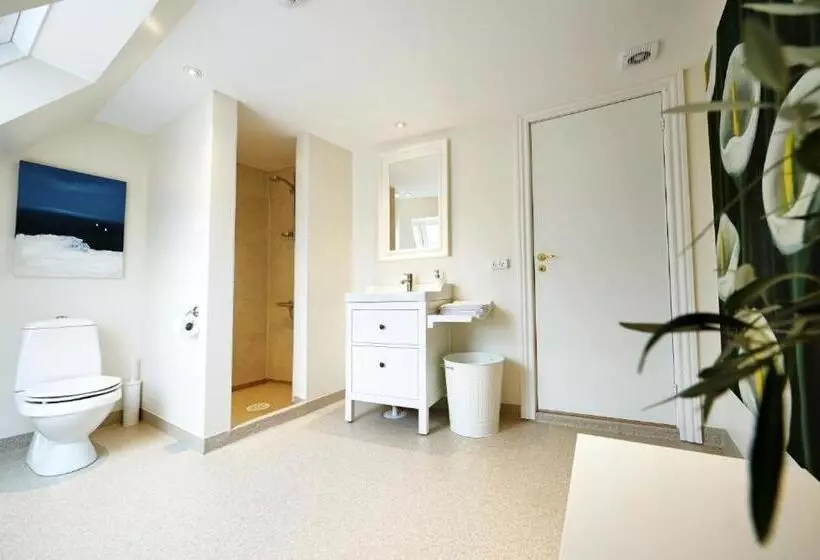 ベッドアンドブレックファースト Mejerigaarden