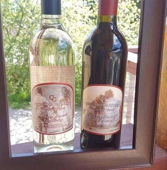 ペンション Columbia Gardens Winery And Grape Escape Guesthouse