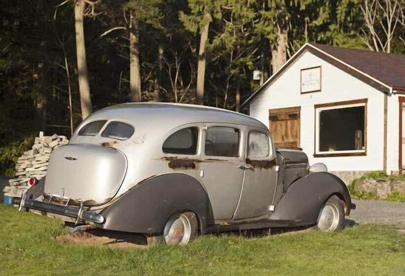 بنسيون Swartz Bay Farm