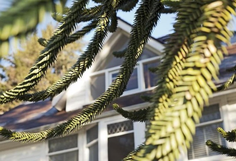 بنسيون Swartz Bay Farm