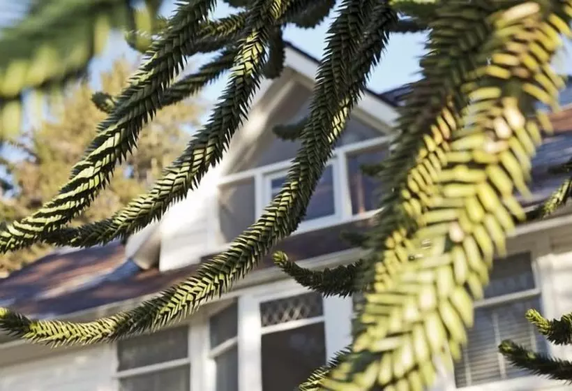 Majatalo Swartz Bay Farm