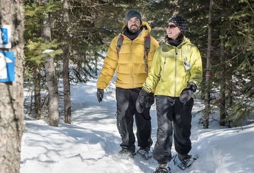 הוסטל La Secousse