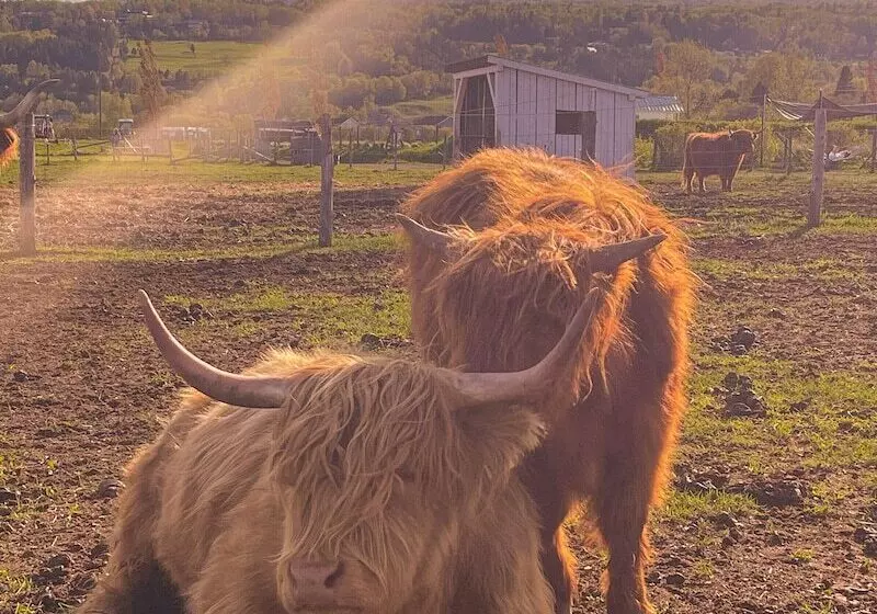 ユースホステル La Secousse