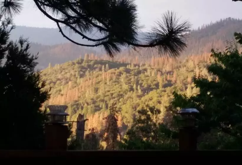 ホテル Pine Rose Inn