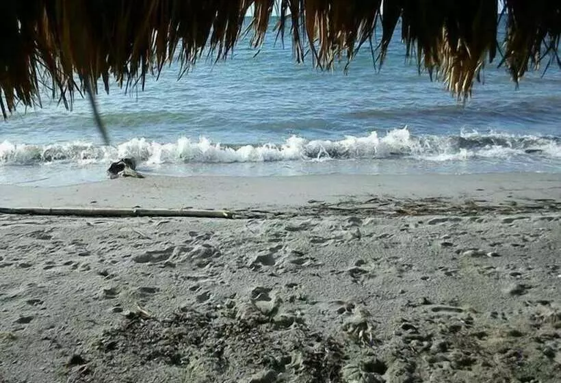 هتل Playa Dorada