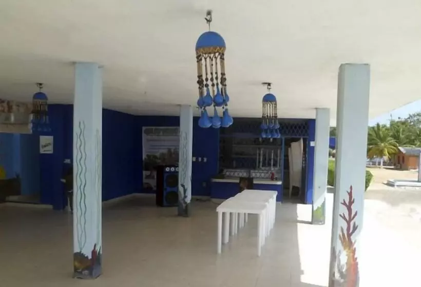 هتل Playa Dorada