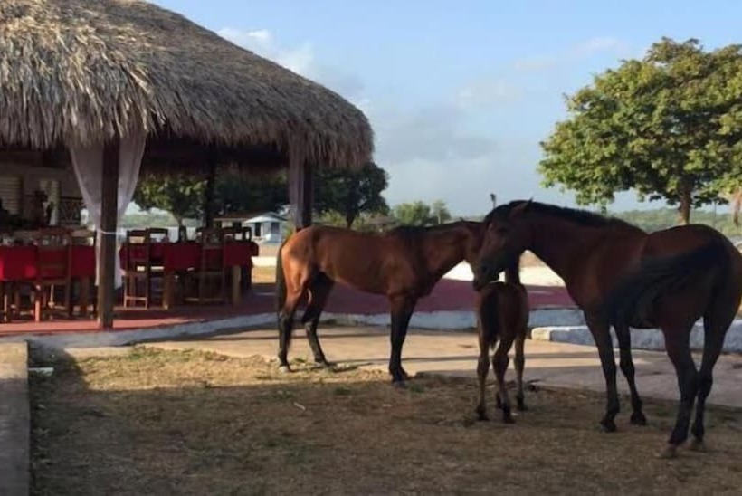 هتل Pousada Marajoara