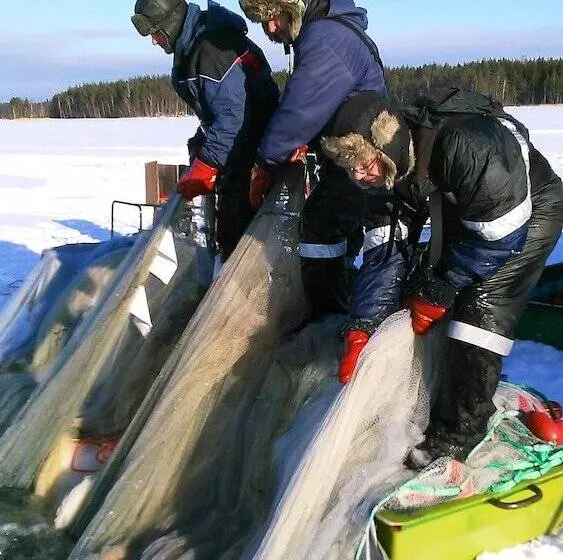 Karelia Country Cottages