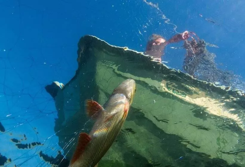 Karelia Country Cottages