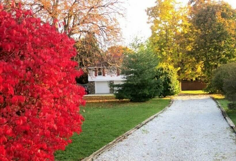 Panzió Dancing Tree Guest Suite