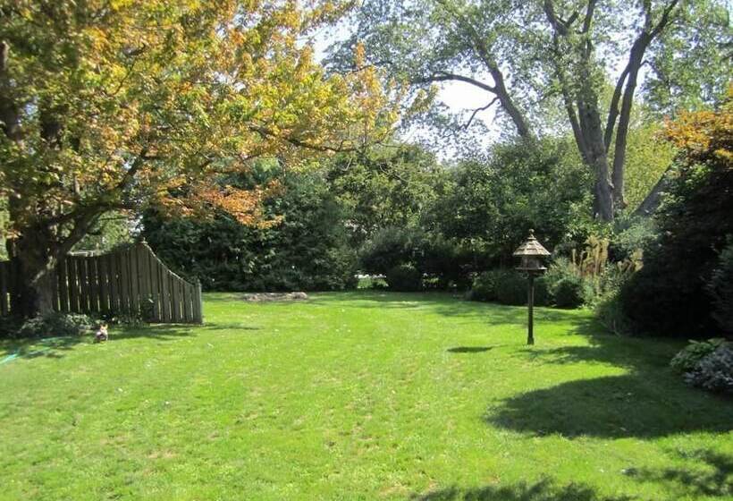 Panzió Dancing Tree Guest Suite