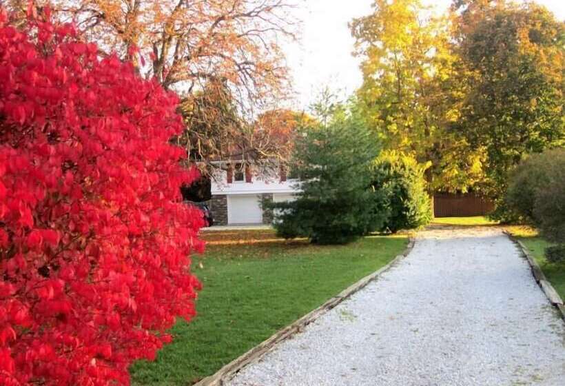 Panzió Dancing Tree Guest Suite