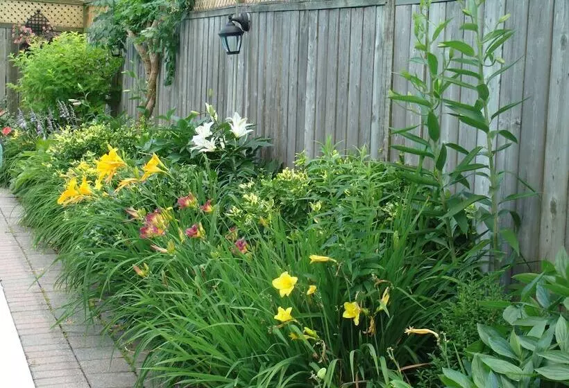 Robinsong Bed And Breakfast