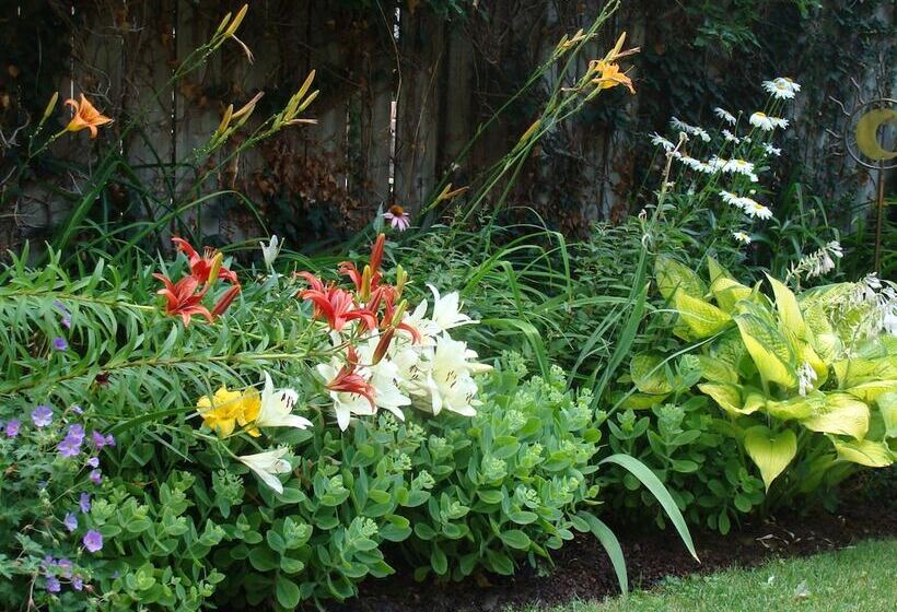 Robinsong Bed And Breakfast