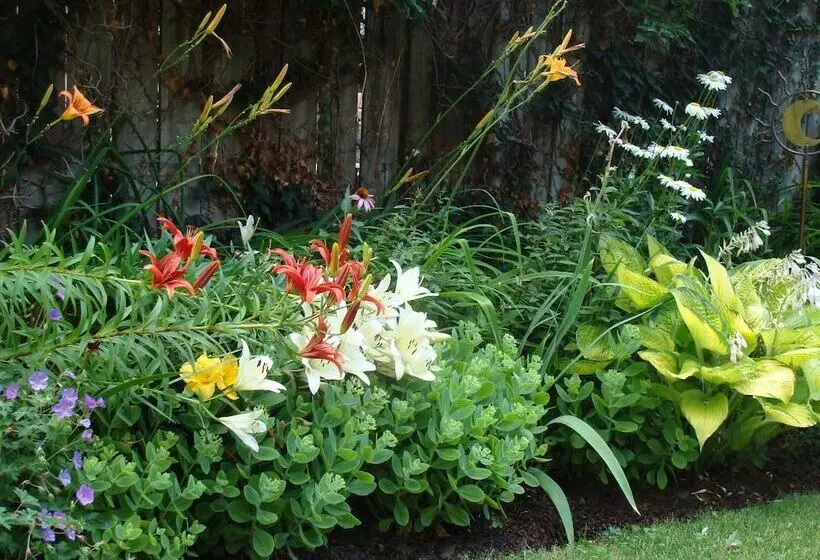 Robinsong Bed And Breakfast