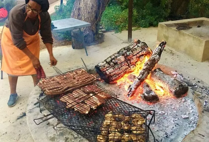 Rosedale Organic Farm B&b