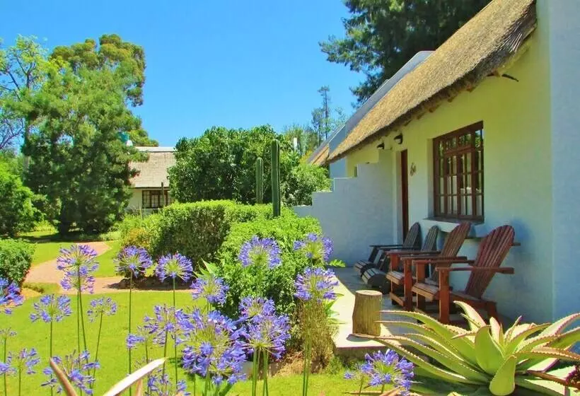 Rosedale Organic Farm B&b