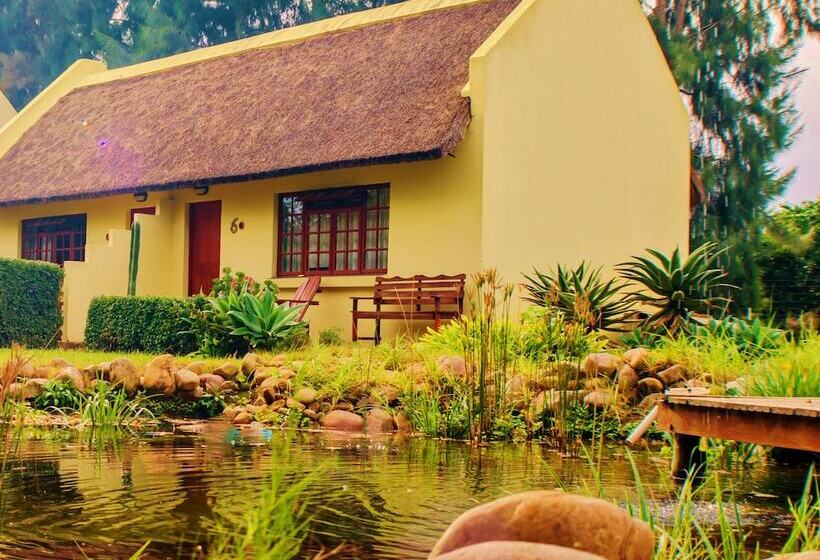 Rosedale Organic Farm B&b