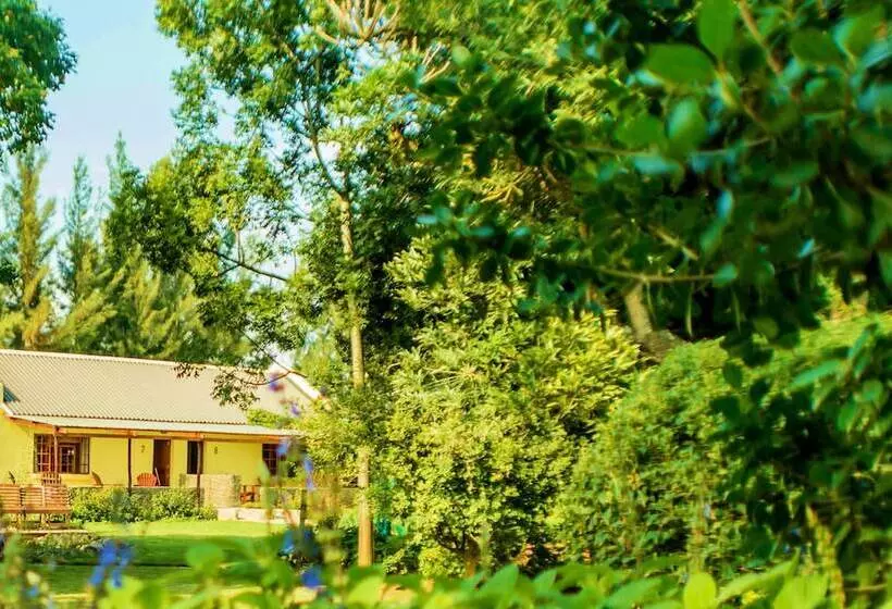 Rosedale Organic Farm B&b