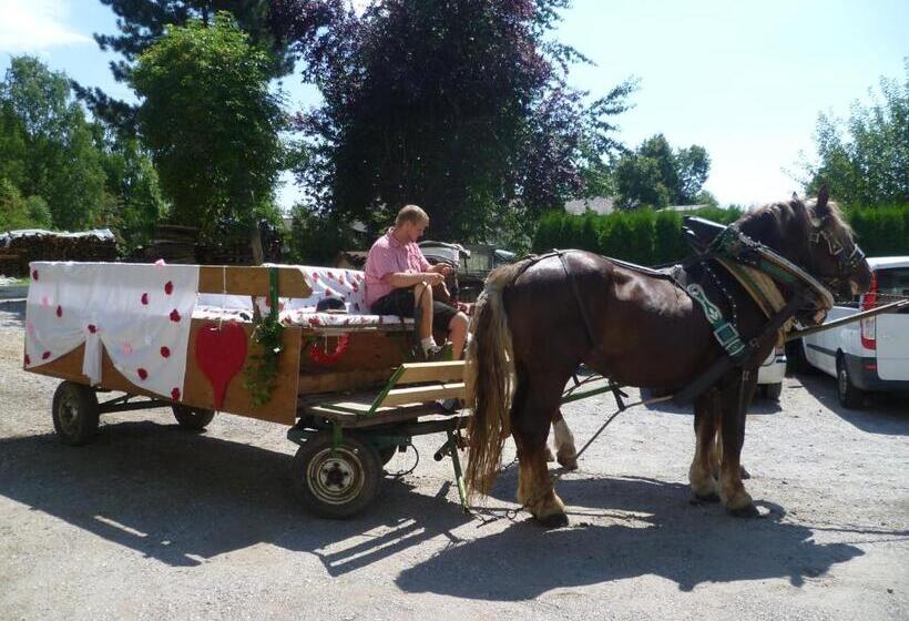 酒店 Gasthof Zur Alten Post