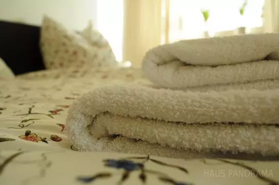 ホテル Haus Panorama