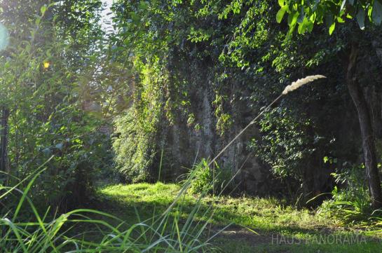 Отель Haus Panorama